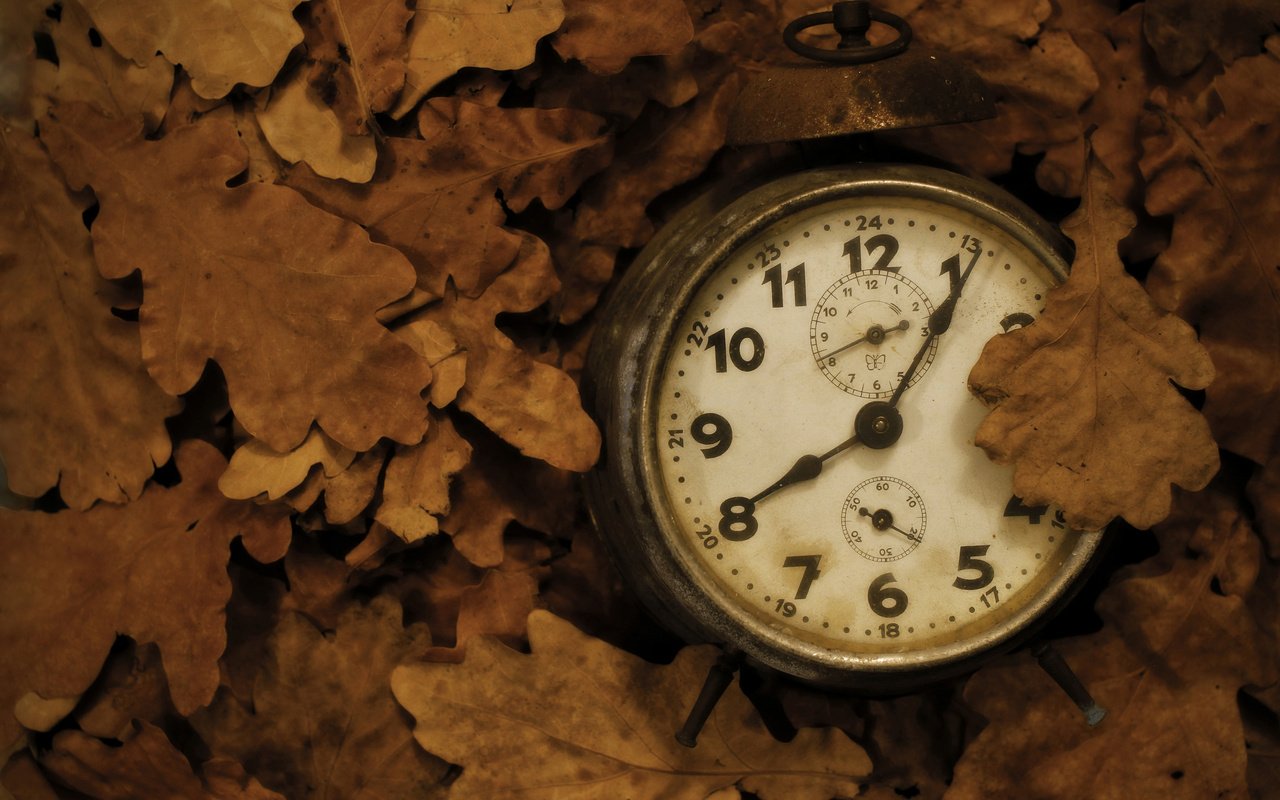 Обои листья, фон, часы, leaves, background, watch разрешение 2048x1365 Загрузить