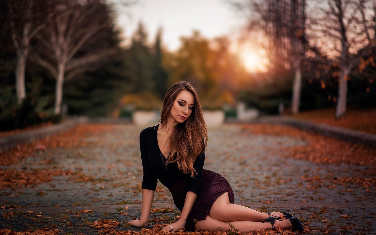 Обои листья, девушка, поза, ножки, leaves, girl, pose, legs разрешение 2048x1367 Загрузить