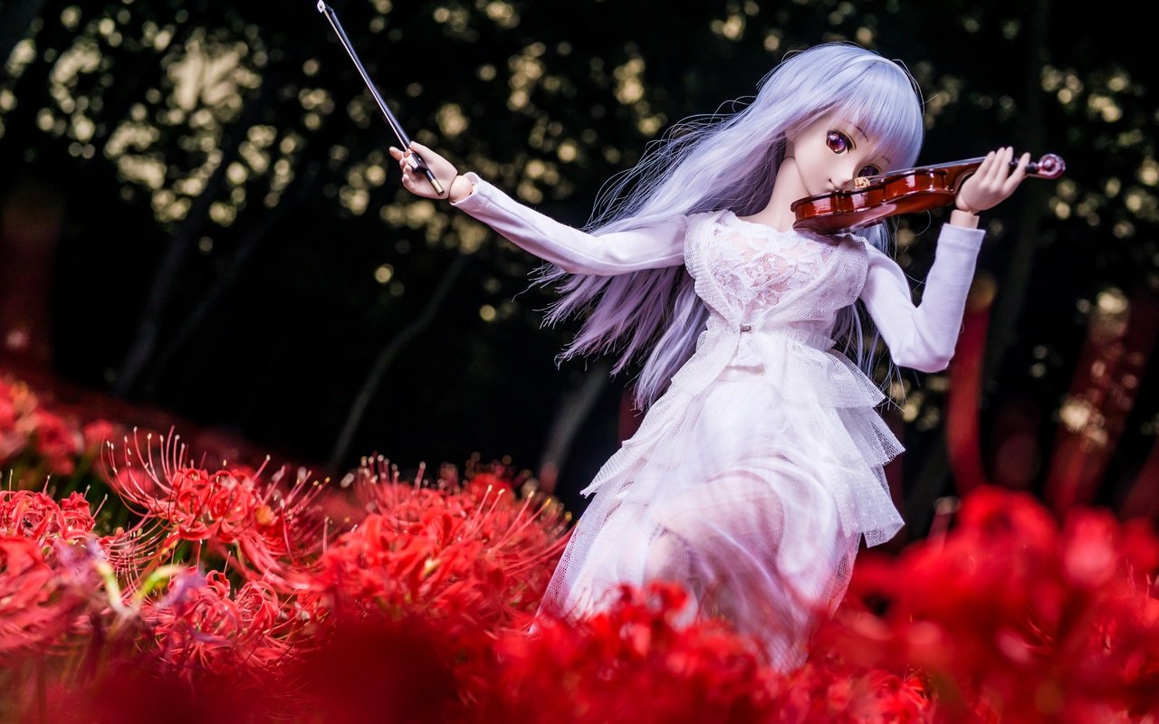 Обои цветы, девушка, скрипка, кукла, волосы, flowers, girl, violin, doll, hair разрешение 3600x2400 Загрузить