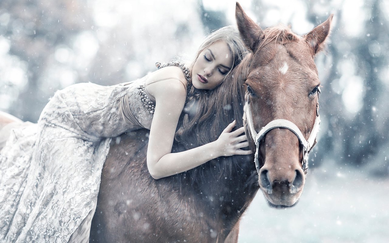 Обои лошадь, снег, девушка, сон, queen maud, алессандро ди чикко, horse, snow, girl, sleep, alessandro di cicco разрешение 2048x1365 Загрузить