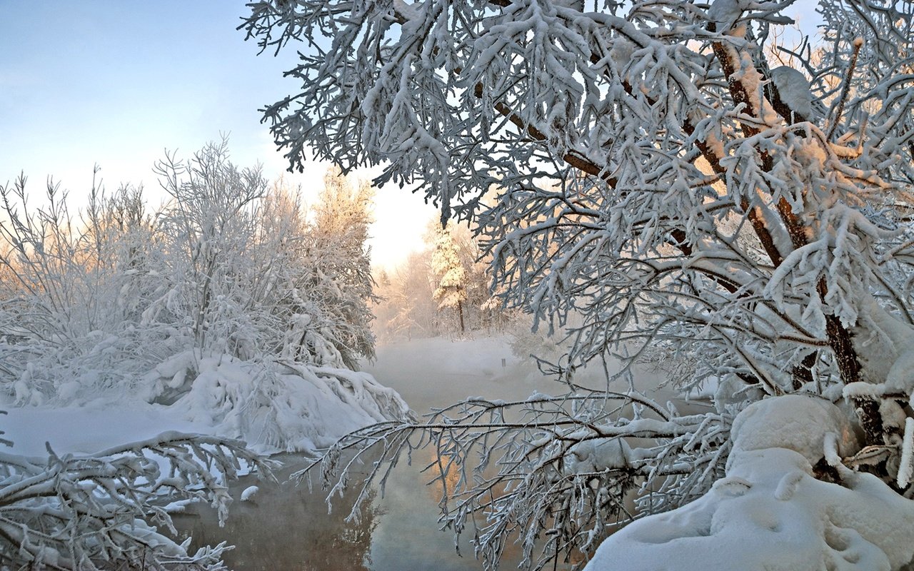 Обои деревья, река, снег, зима, trees, river, snow, winter разрешение 1990x1227 Загрузить