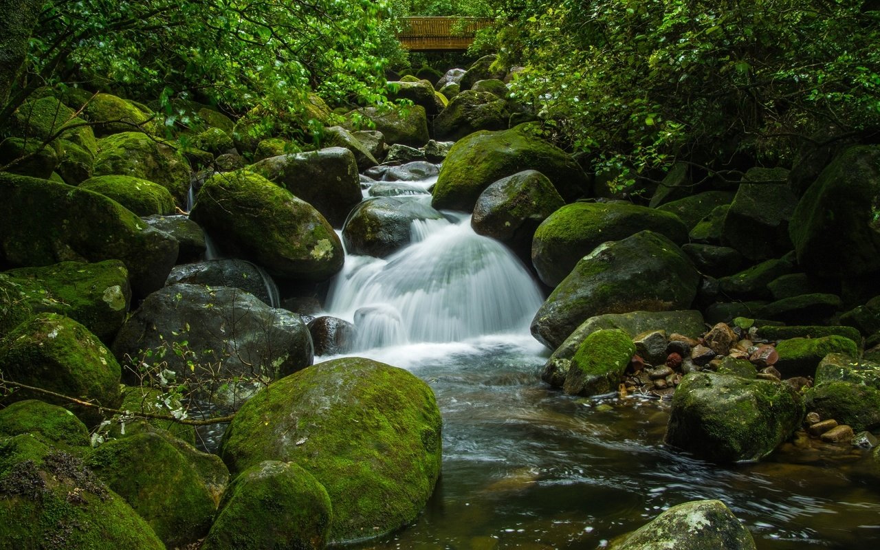 Обои вода, камни, зелень, ручей, мох, water, stones, greens, stream, moss разрешение 2250x1495 Загрузить