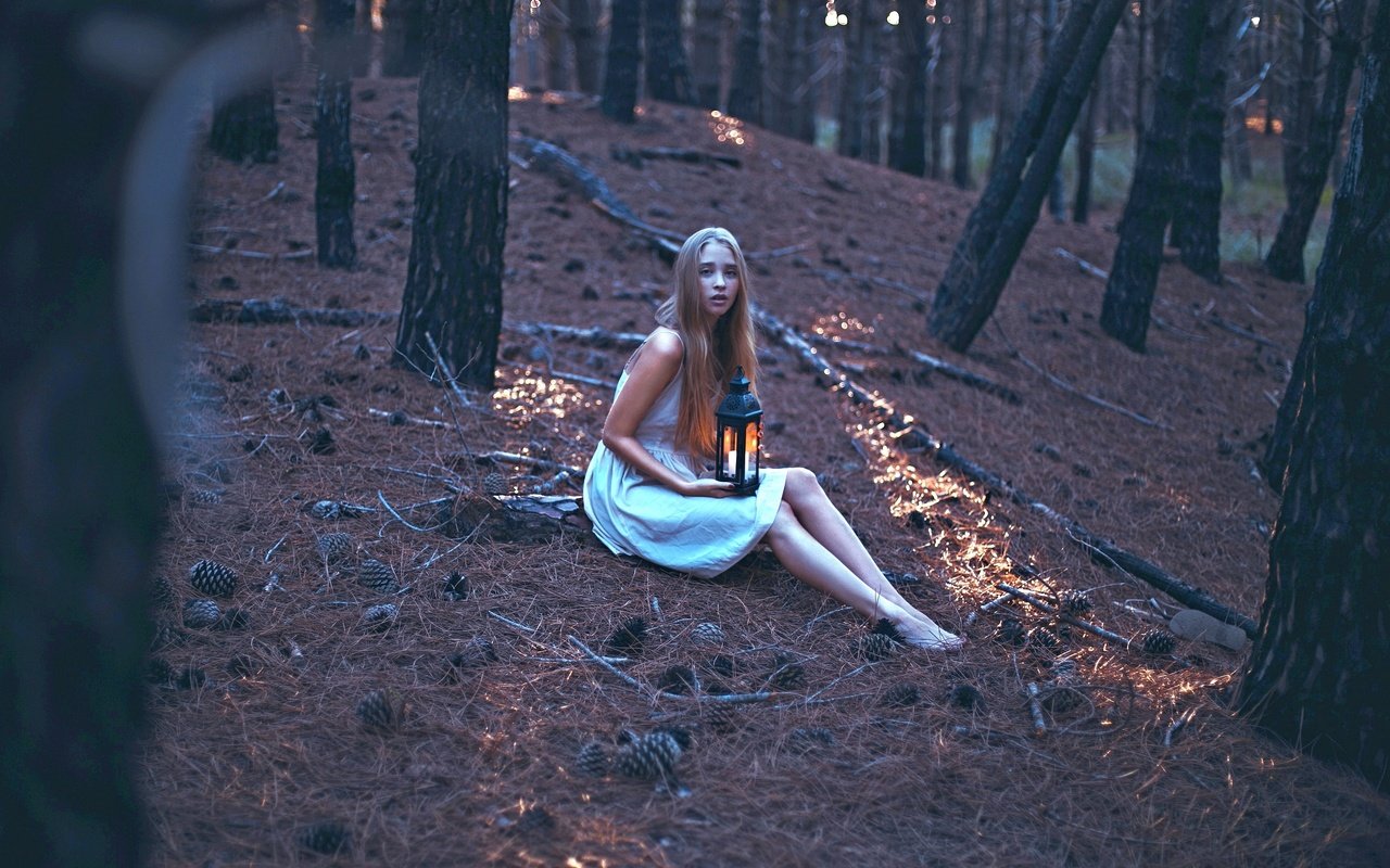 Обои лес, девушка, фонарь, свеча, forest, girl, lantern, candle разрешение 2880x1920 Загрузить