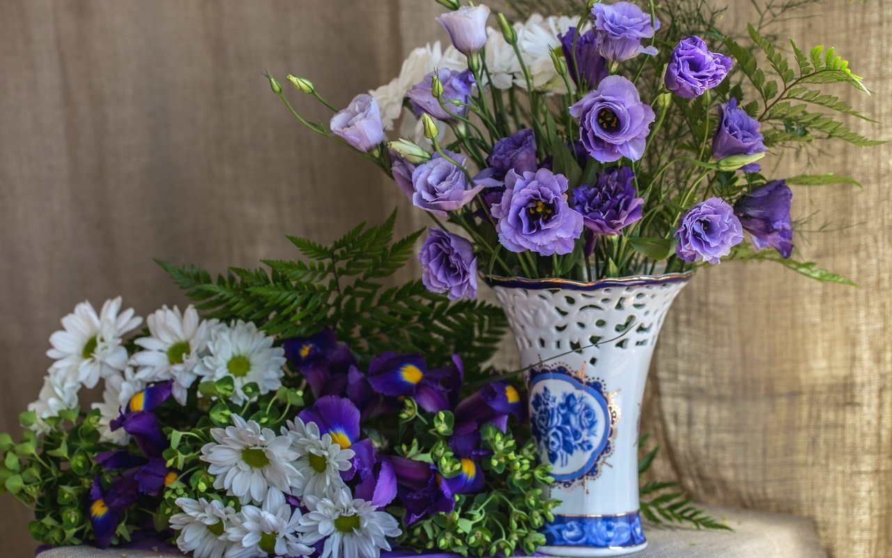 Обои фиолетовый, ткань, букет, ваза, папоротник, хризантемы, ирисы, эустома, purple, fabric, bouquet, vase, fern, chrysanthemum, irises, eustoma разрешение 1920x1191 Загрузить