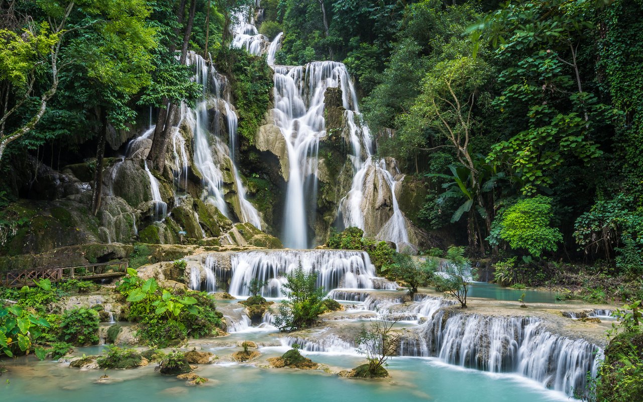 Обои деревья, тропики, камни, джунгли, зелень, лаос, лес, kuang si falls, скала, кусты, водопад, мох, trees, tropics, stones, jungle, greens, laos, forest, rock, the bushes, waterfall, moss разрешение 1920x1280 Загрузить