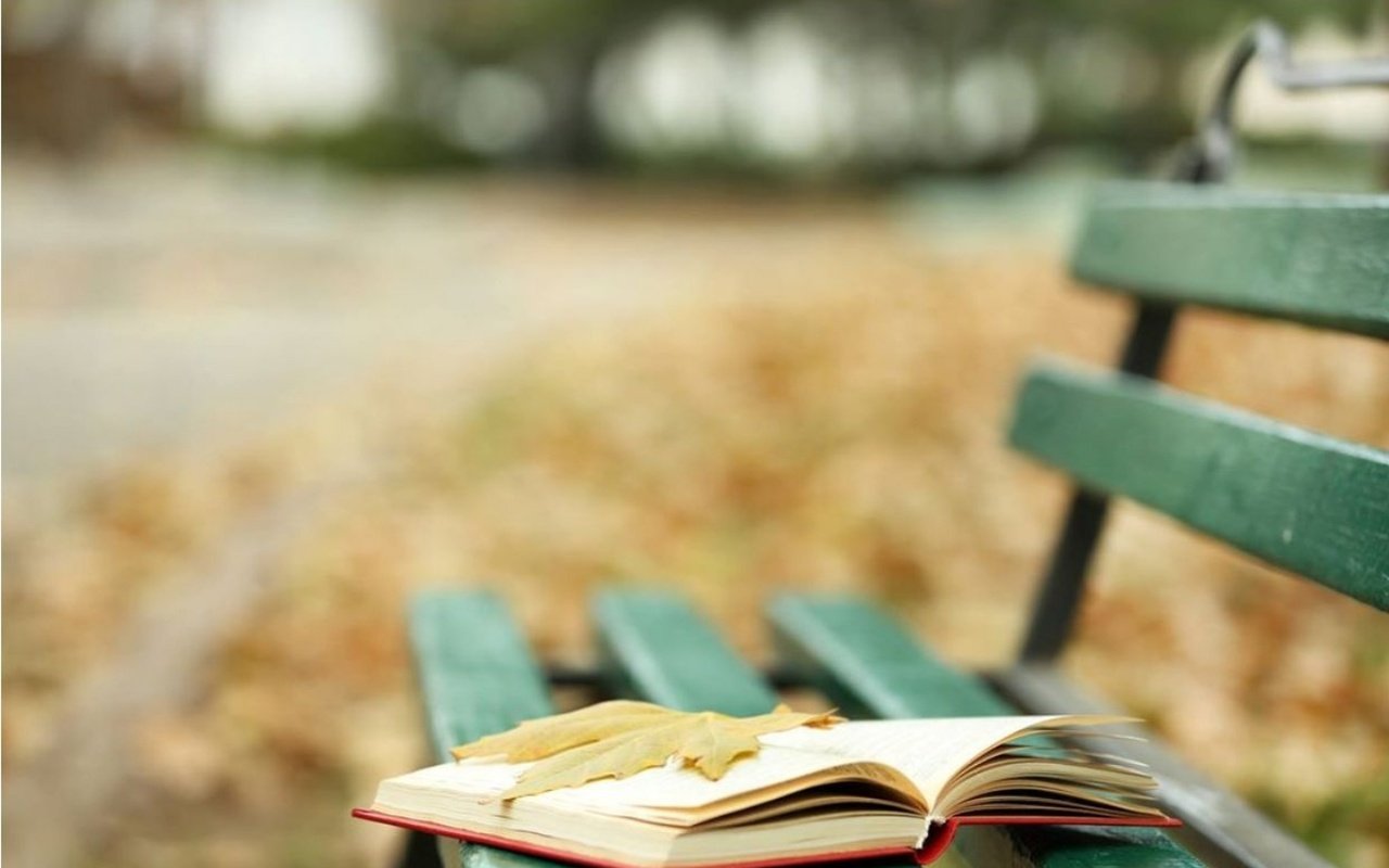 Обои осень, лист, скамейка, листик, книга, осен, книгa, autumn, sheet, bench, leaf, book разрешение 2560x1600 Загрузить