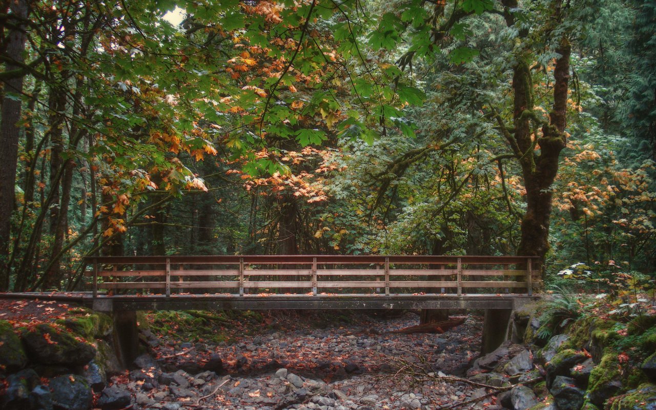 Обои мостик, лес, листва, мост, осень, опадают, осен,  листья, the bridge, forest, foliage, bridge, autumn, fall, leaves разрешение 2816x2112 Загрузить