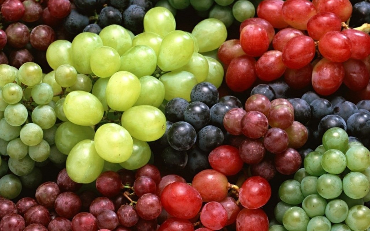 Обои виноград, белый виноград, красный виноград, синий виноград, grapes, white grapes, red grapes, blue grape разрешение 1920x1440 Загрузить
