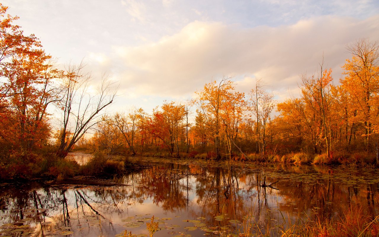 Обои небо, облака, деревья, река, отражение, осень, the sky, clouds, trees, river, reflection, autumn разрешение 2048x1260 Загрузить