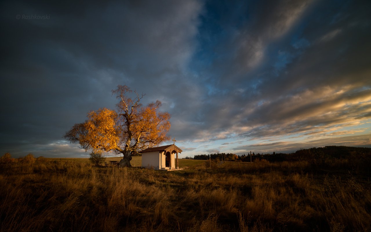 Обои дерево, поле, осень, tree, field, autumn разрешение 2048x1280 Загрузить