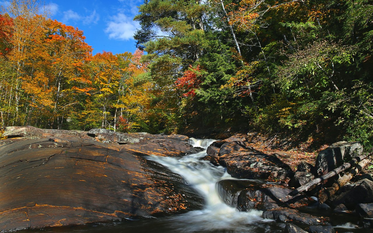 Обои деревья, река, скалы, лес, осень, поток, канада, онтарио, trees, river, rocks, forest, autumn, stream, canada, ontario разрешение 2048x1365 Загрузить