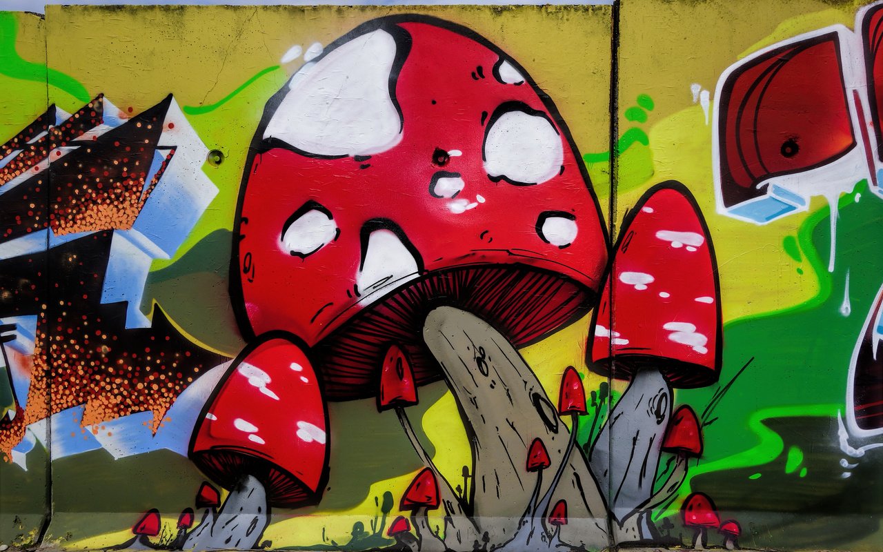 Обои арт, город, стена, грибы, графити, art, the city, wall, mushrooms, grafiti разрешение 2048x1365 Загрузить