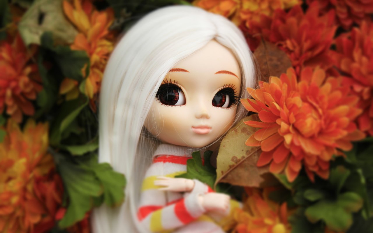 Обои цветы, кукла, большие глаза, flowers, doll, big eyes разрешение 3456x2304 Загрузить