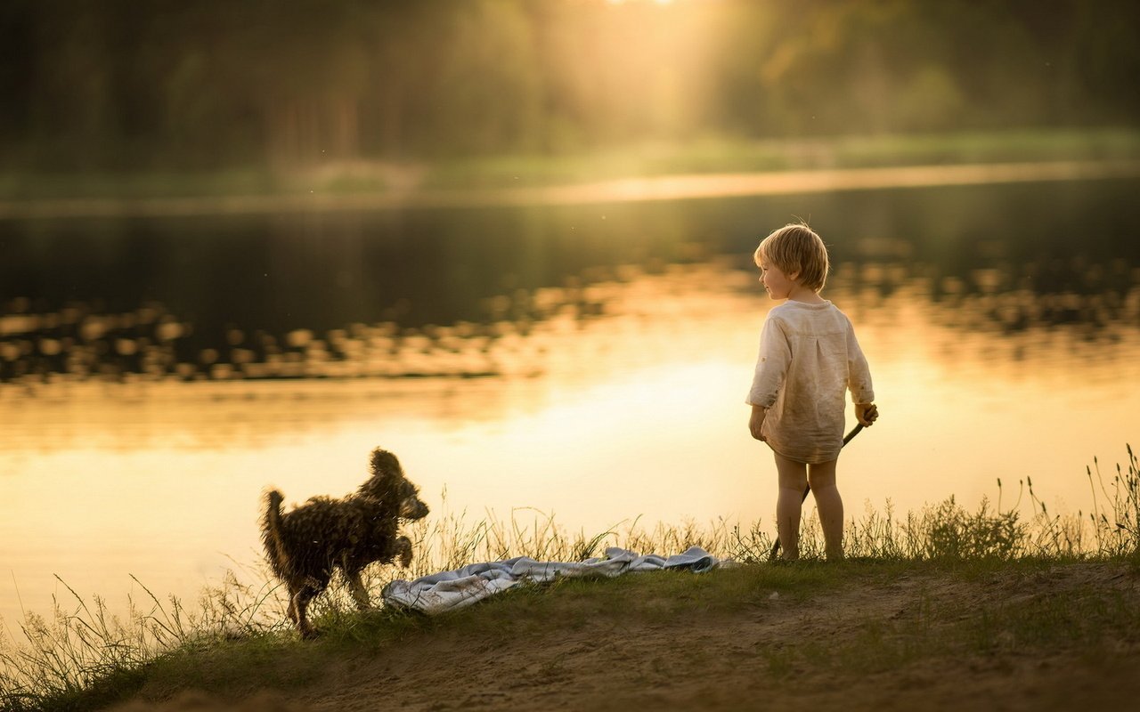 Обои озеро, утро, собака, мальчик, берег реки, lake, morning, dog, boy, the river разрешение 1920x1279 Загрузить