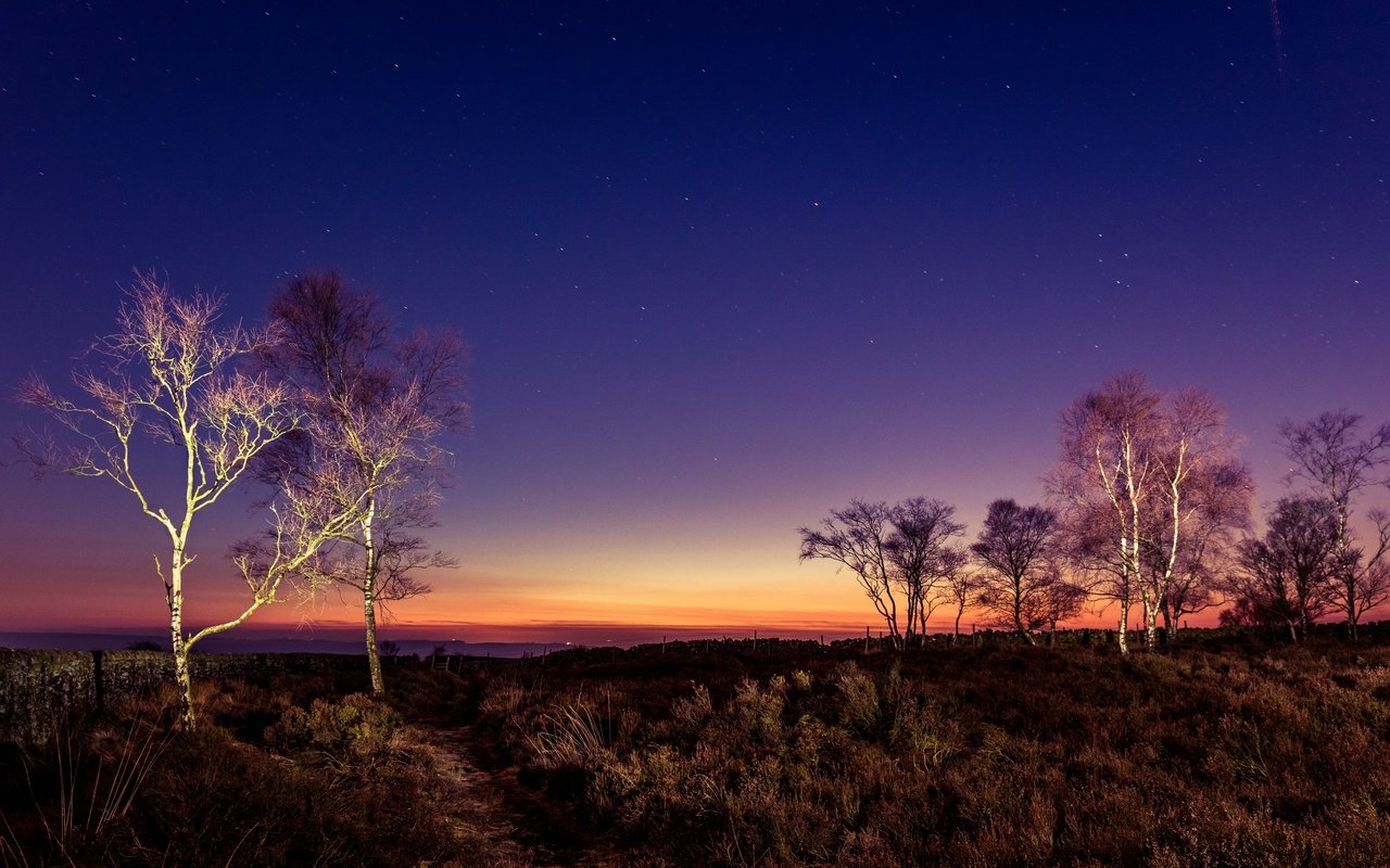 Обои небо, деревья, вечер, закат, великобритания, peak district, the sky, trees, the evening, sunset, uk разрешение 2880x1728 Загрузить