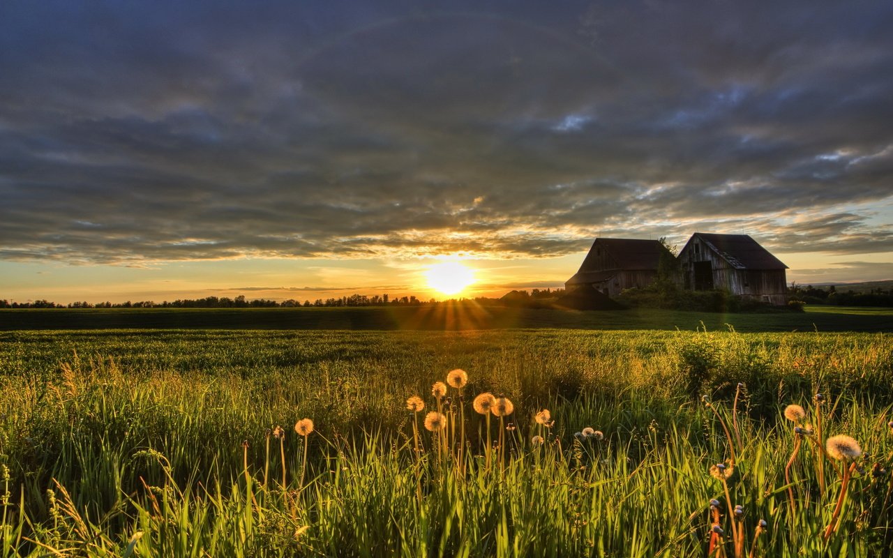Обои закат, поле, лето, дом, sunset, field, summer, house разрешение 2560x1685 Загрузить