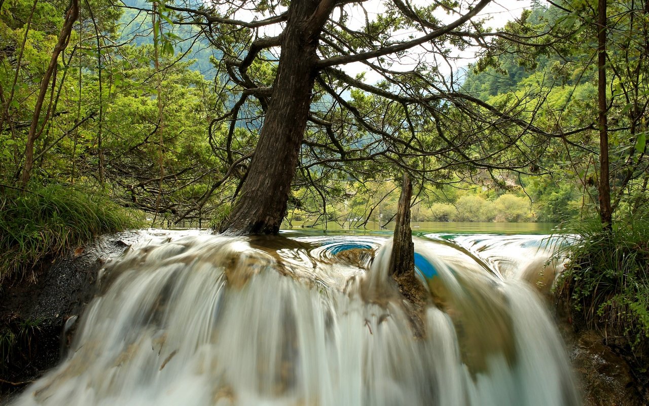 Обои деревья, река, лес, водопад, китай, jiuzhaigou national park, trees, river, forest, waterfall, china разрешение 2880x1920 Загрузить