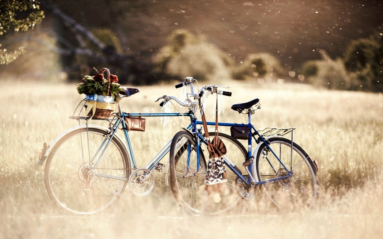 Обои цветы, трава, деревья, природа, велосипед, боке, flowers, grass, trees, nature, bike, bokeh разрешение 1920x1200 Загрузить