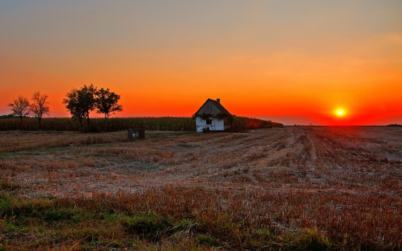 Обои dusk, солнце, fireball, полумрак, закат, countryside, farmland, поле, дом, сумерки, ферма, вс, сельская местность, the sun, sunset, field, house, twilight, farm, sun, the countryside разрешение 1920x1276 Загрузить