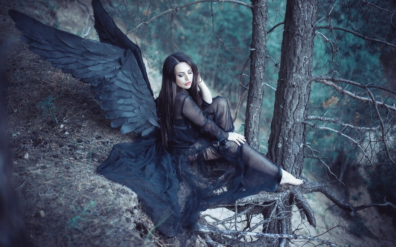 Обои лес, девушка, крылья, ангел, черные крылья, forest, girl, wings, angel, black wings разрешение 5616x3744 Загрузить