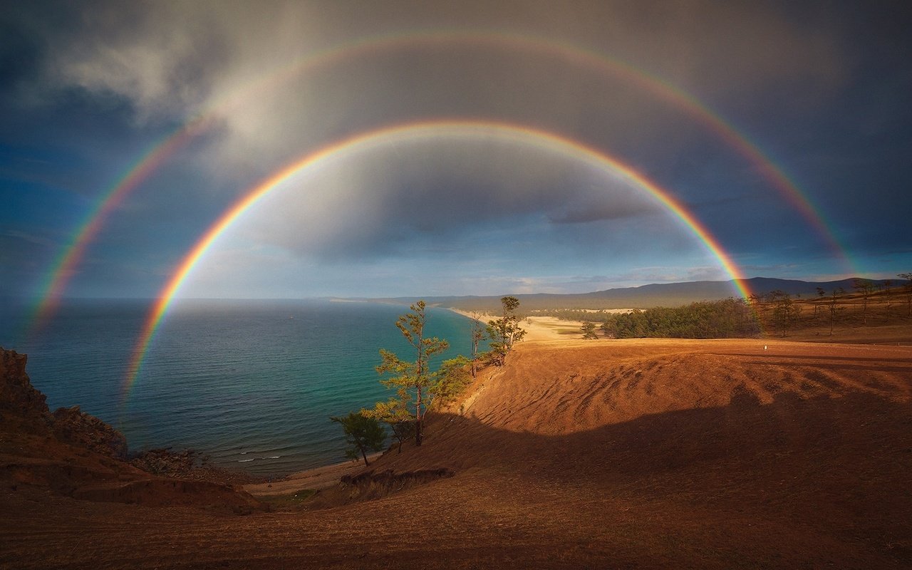 Обои деревья, природа, зелень, море, пляж, радуга, царство, trees, nature, greens, sea, beach, rainbow, kingdom разрешение 1920x1200 Загрузить