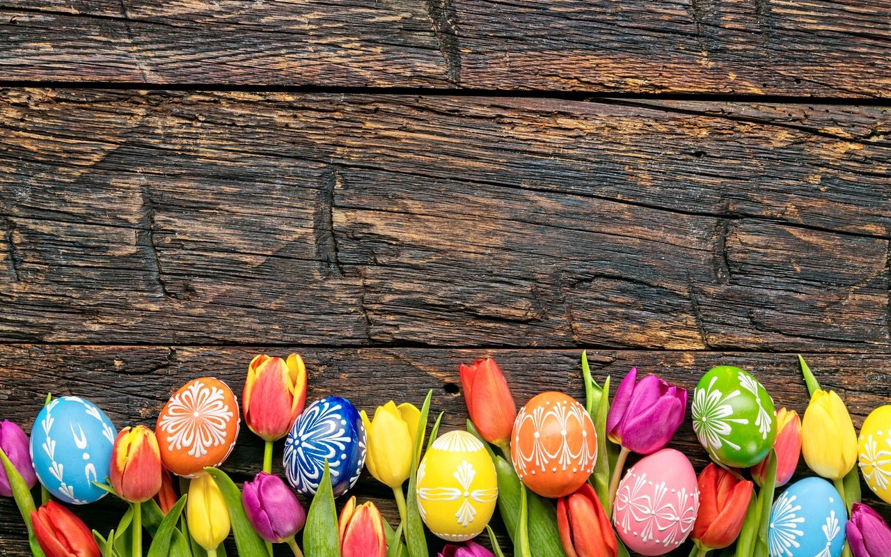 Обои тюльпаны, довольная, пасха, красочная, праздник, яйца крашеные, дерева, тульпаны,  цветы, глазунья, весенние, зеленые пасхальные, tulips, happy, easter, colorful, the painted eggs, holiday, wood, flowers, eggs, spring разрешение 6480x4320 Загрузить