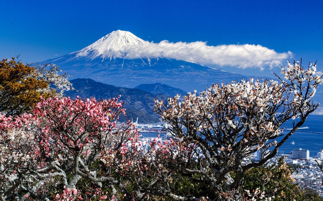 Обои деревья, горы, пейзаж, город, весна, trees, mountains, landscape, the city, spring разрешение 2048x1365 Загрузить