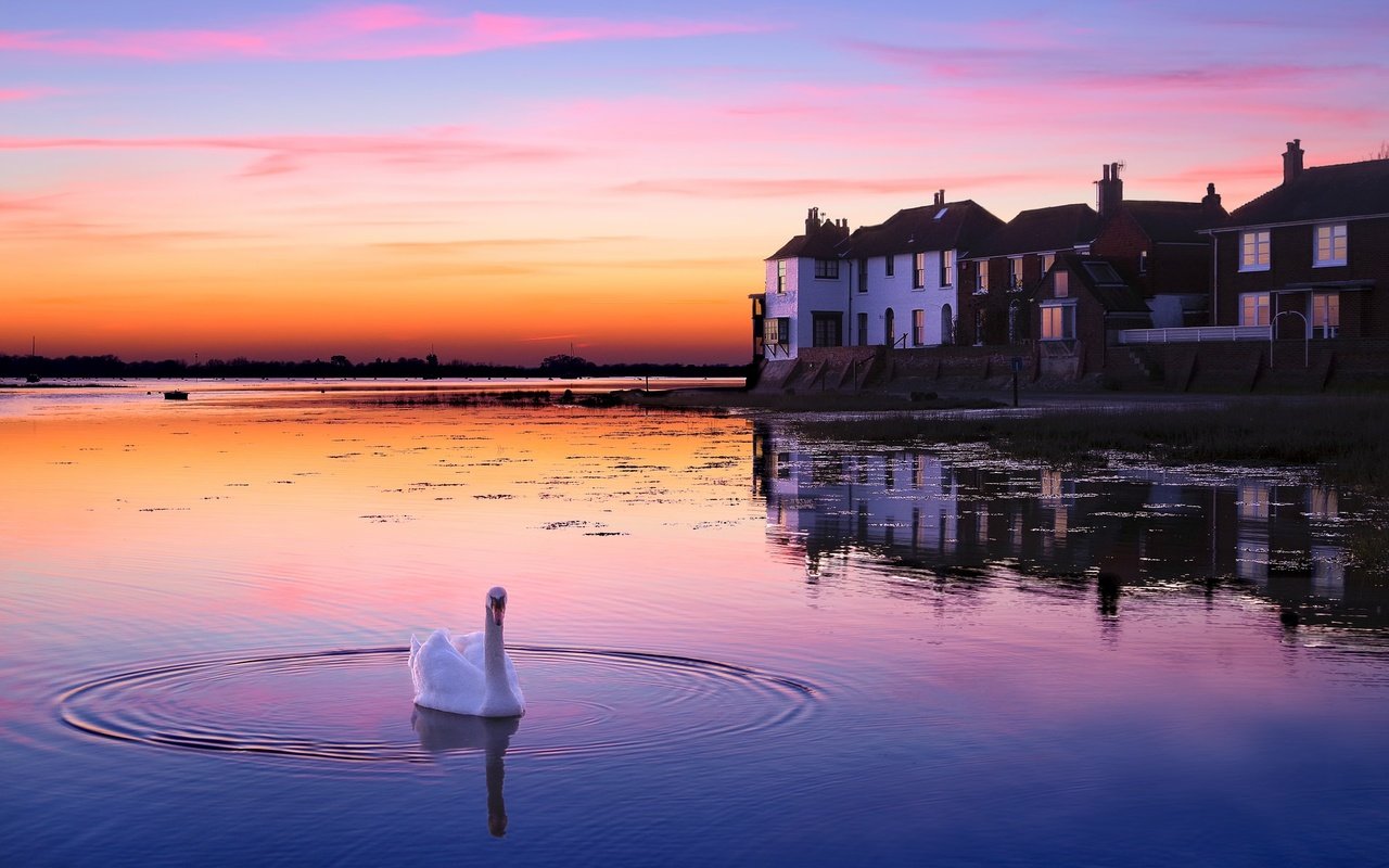 Обои озеро, закат, птица, здание, лебедь, lake, sunset, bird, the building, swan разрешение 2048x1202 Загрузить