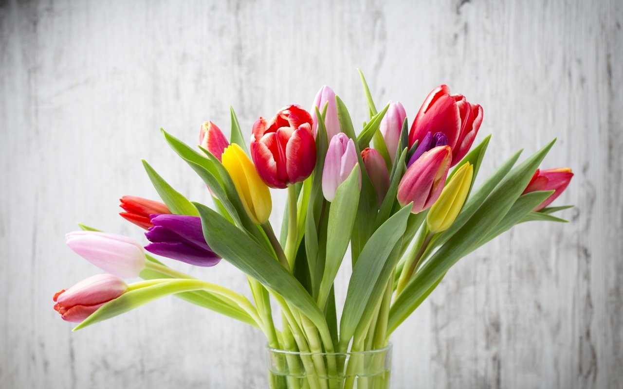 Обои цветы, букет, тюльпаны, дерева, тульпаны,  цветы, красочная, flowers, bouquet, tulips, wood, colorful разрешение 5472x3648 Загрузить