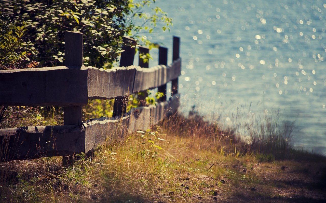 Обои свет, трава, природа, пейзаж, море, лето, забор, ограждение, light, grass, nature, landscape, sea, summer, the fence разрешение 3008x2000 Загрузить