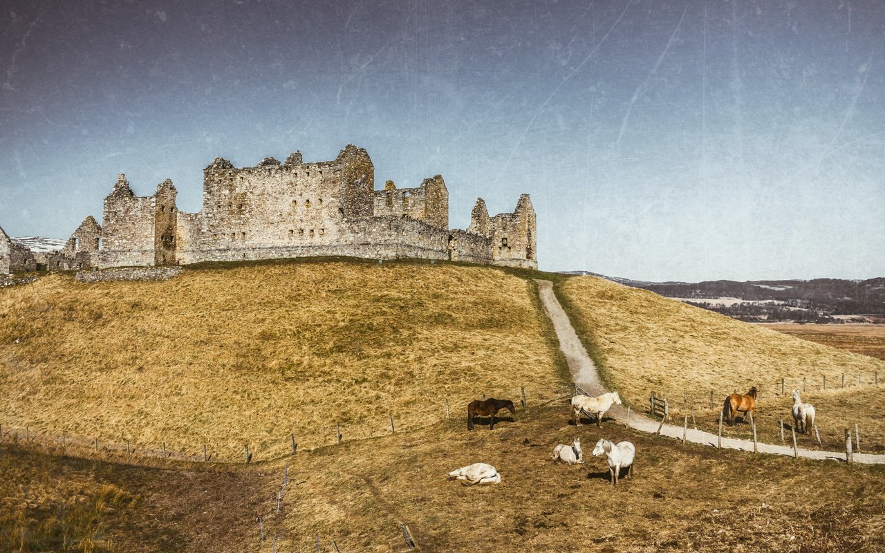 Обои замок, лошади, шотландия, соединенное королевство, ruthven barracks, kingussie, castle, horse, scotland, united kingdom разрешение 5477x3484 Загрузить