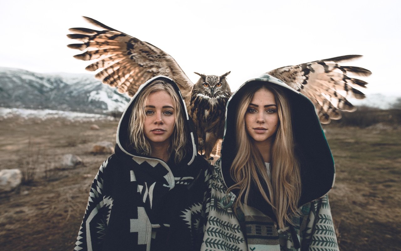 Обои сова, взгляд, девушки, птица, волосы, модели, блондинки, owl, look, girls, bird, hair, model, blonde разрешение 7952x5304 Загрузить