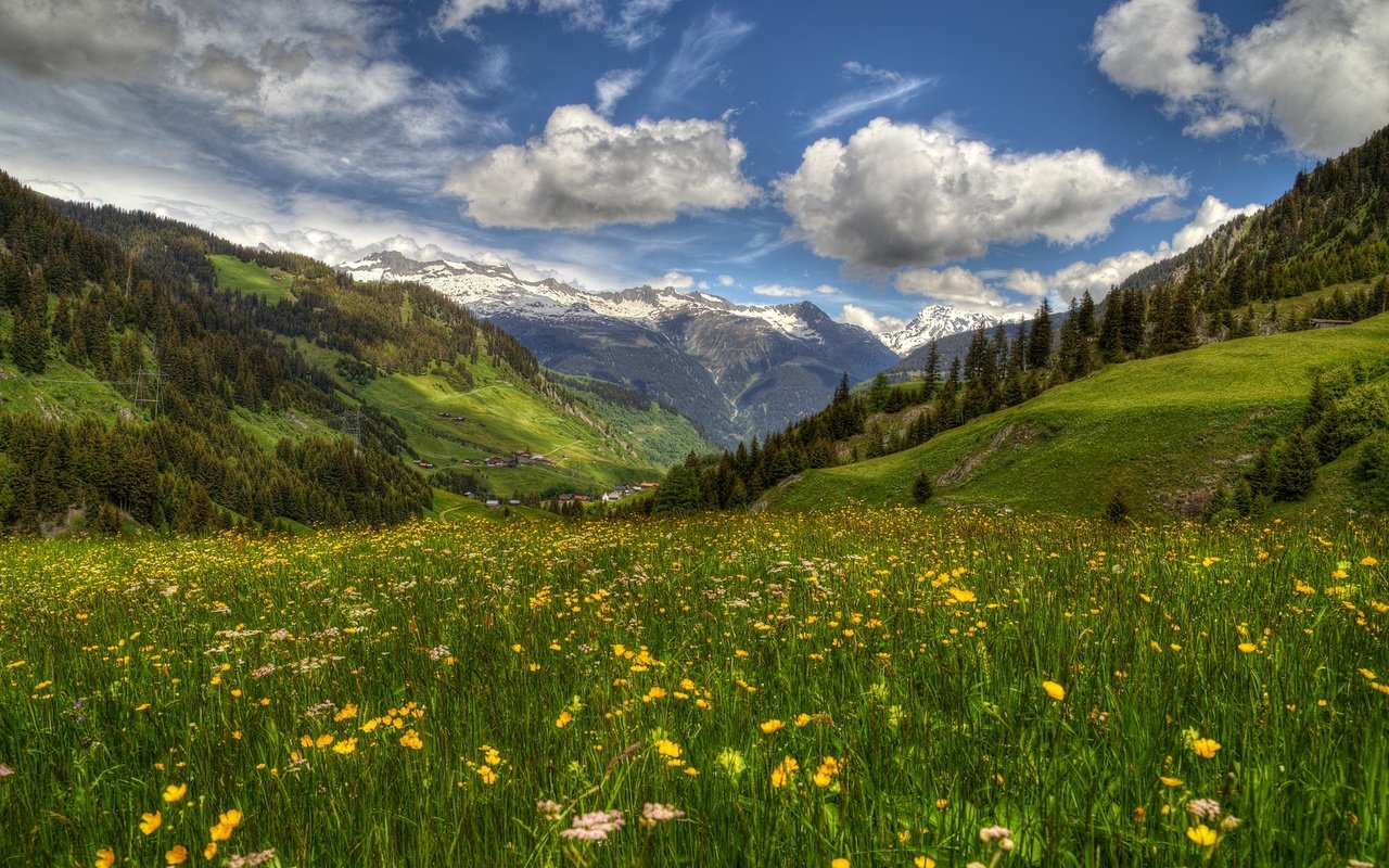 Обои цветы, трун, горы, граубюнден, швейцария, долина сурсельва, луг, весна, долина, альпы, перевал оберальп, flowers, troon, mountains, grisons, switzerland, valley of the surselva, meadow, spring, valley, alps, the oberalp pass разрешение 2000x1179 Загрузить