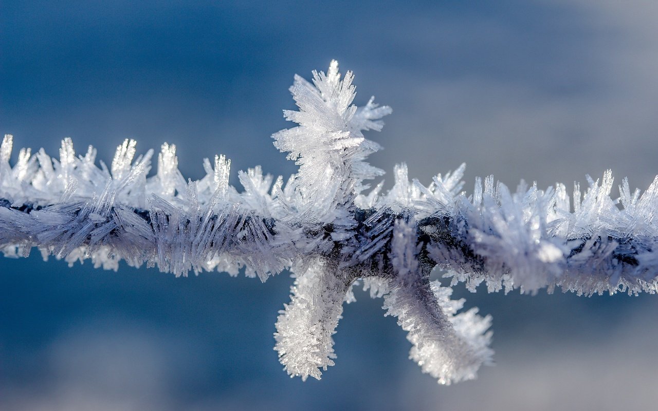 Обои природа, зима, мороз, проволока, иней, колючая проволока, провод, кристаллы, nature, winter, frost, wire, barbed wire, crystals разрешение 5184x3456 Загрузить