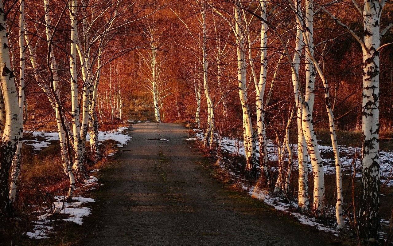 Обои дорога, деревья, снег, березы, весна, road, trees, snow, birch, spring разрешение 1920x1280 Загрузить