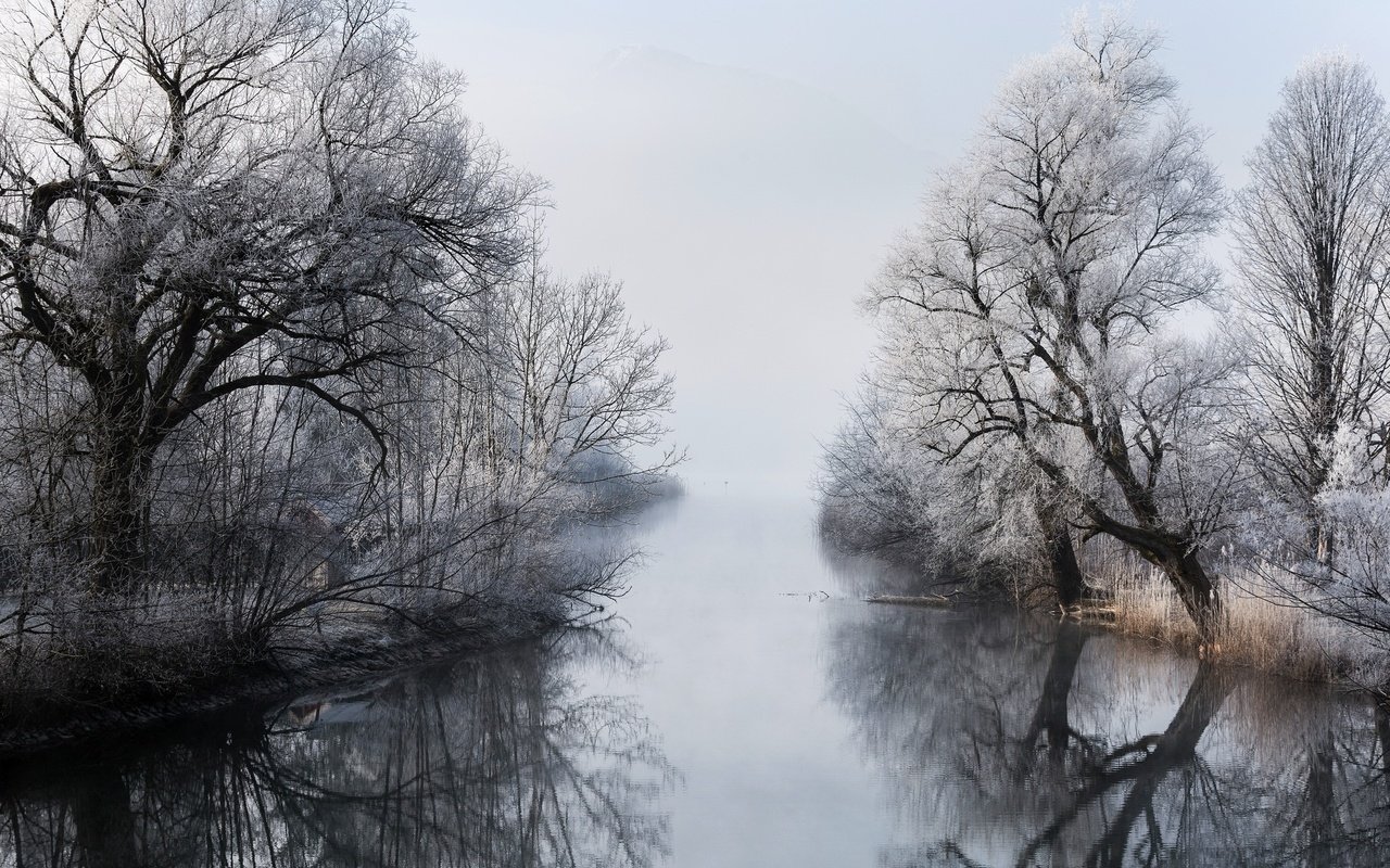 Обои деревья, река, зима, туман, ветки, trees, river, winter, fog, branches разрешение 2048x1365 Загрузить