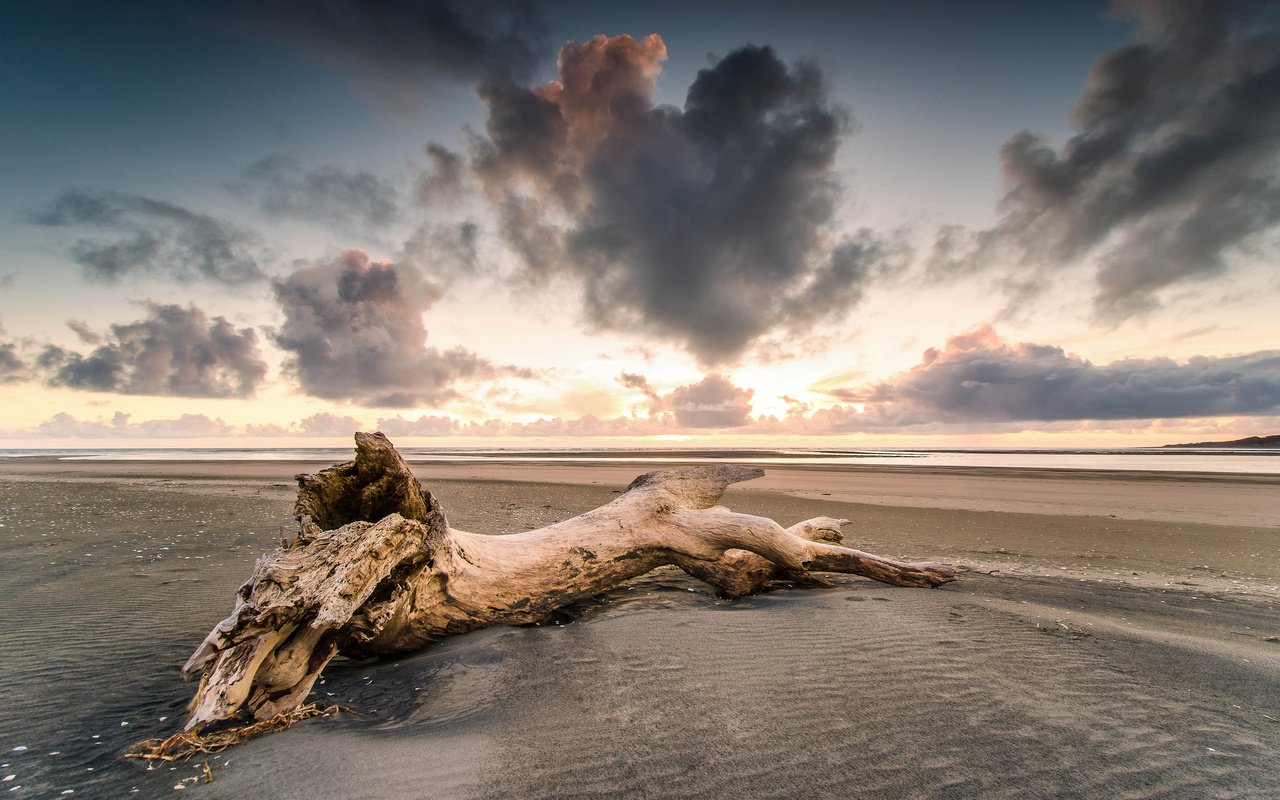 Обои дерево, берег, закат, песок, пляж, tree, shore, sunset, sand, beach разрешение 2048x1357 Загрузить