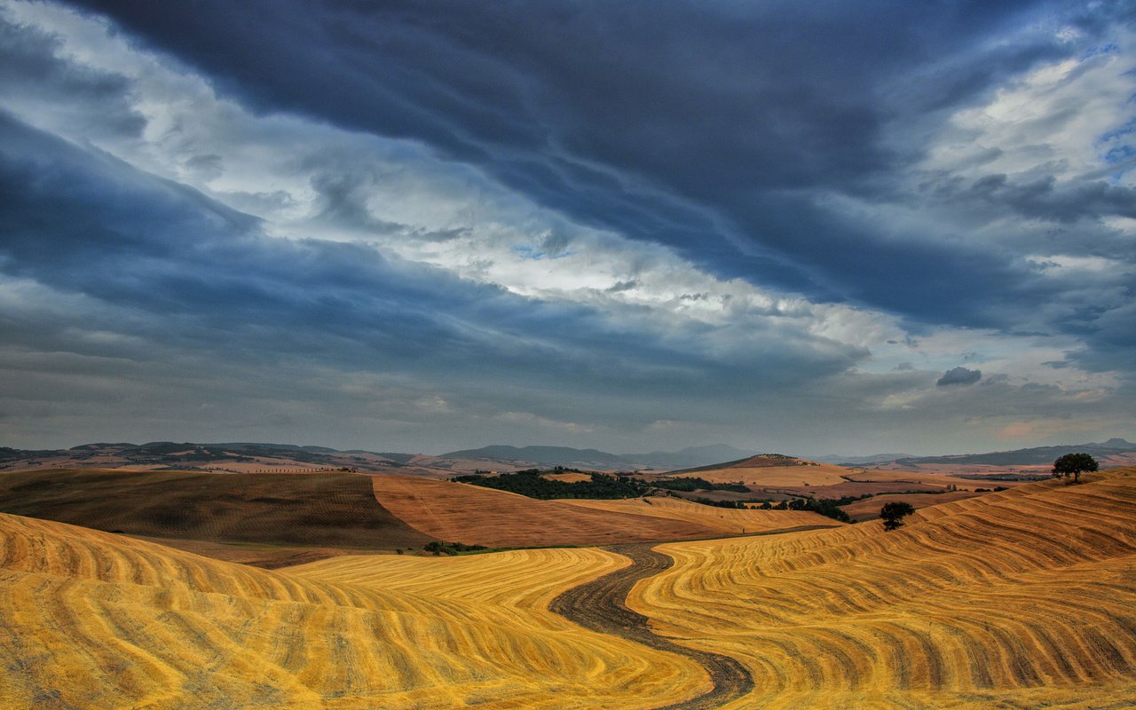 Обои небо, облака, поля, горизонт, урожай, пасмурно, the sky, clouds, field, horizon, harvest, overcast разрешение 1920x1200 Загрузить