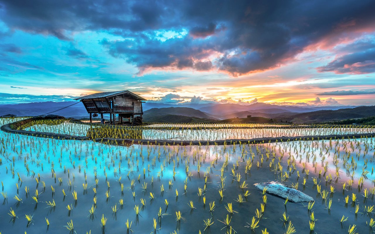 Обои небо, вода, поле, рис, хижина, the sky, water, field, figure, hut разрешение 1920x1080 Загрузить