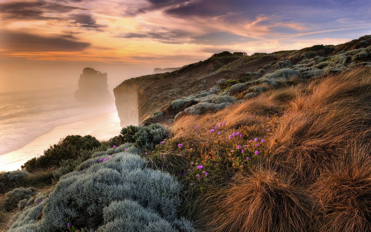 Обои цветы, трава, скалы, берег, море, туман, побережье, обрыв, flowers, grass, rocks, shore, sea, fog, coast, open разрешение 1920x1200 Загрузить