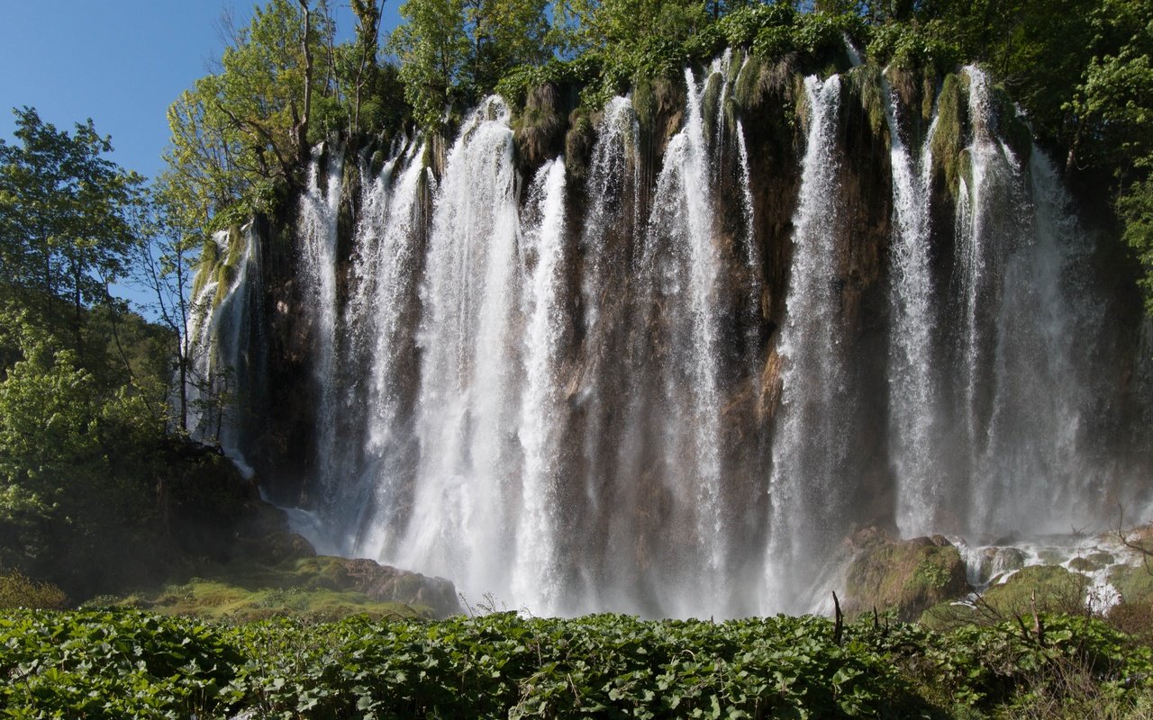 Обои деревья, природа, зелень, водопад, trees, nature, greens, waterfall разрешение 4477x2985 Загрузить