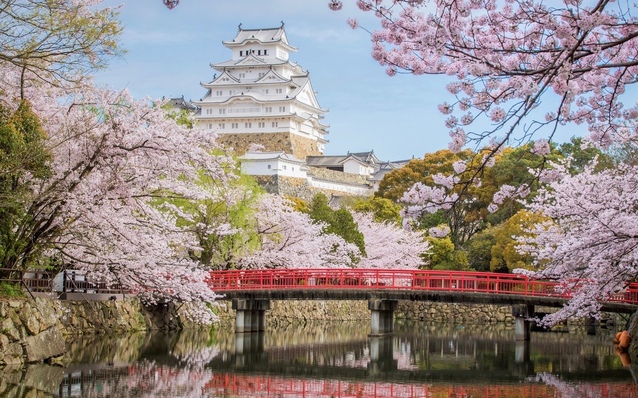 Обои мост, замок, япония, сакура, химэдзи, bridge, castle, japan, sakura, himeji разрешение 2048x1341 Загрузить