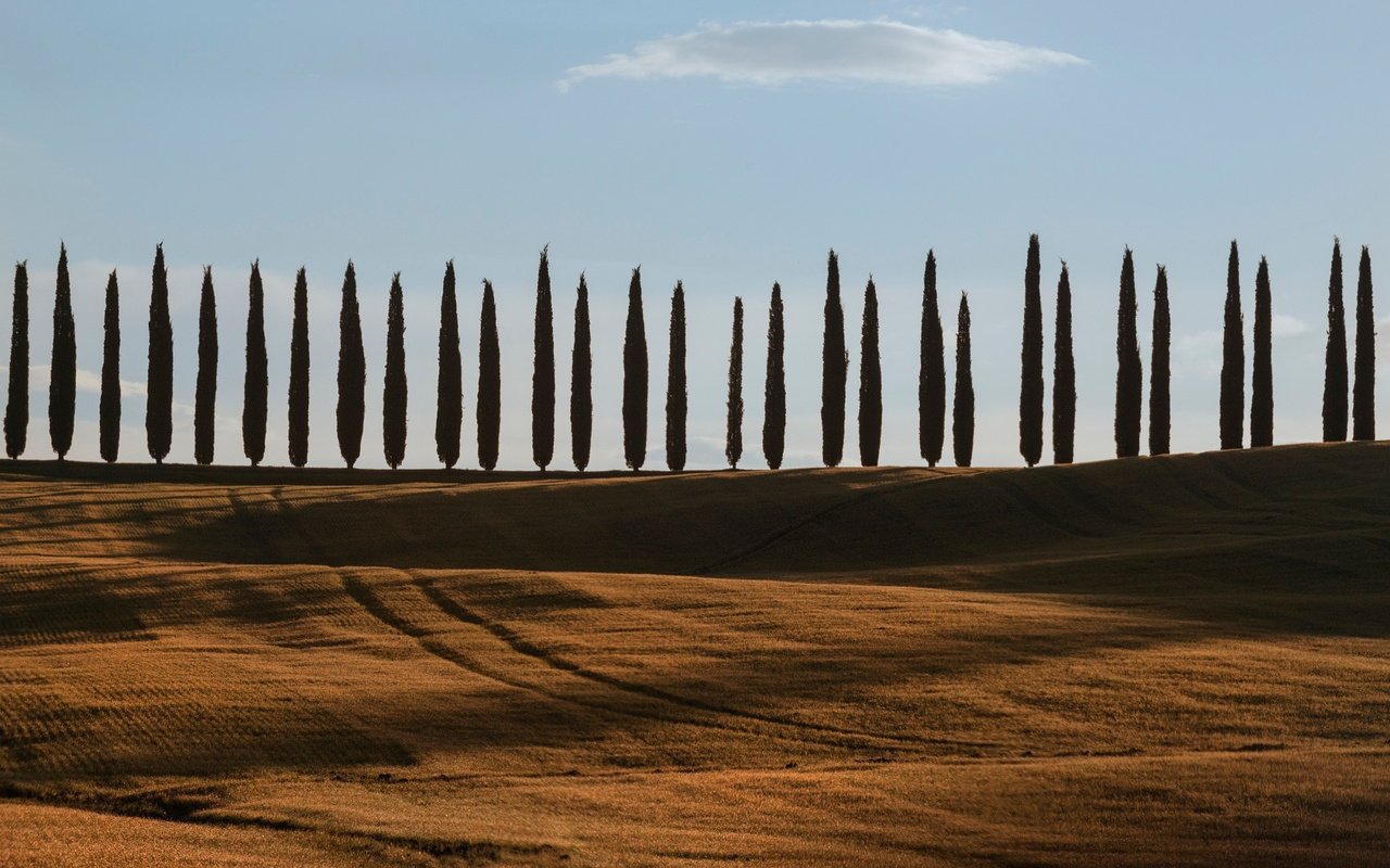 Обои небо, деревья, холмы, поля, италия, тоскана, the sky, trees, hills, field, italy, tuscany разрешение 2048x1367 Загрузить