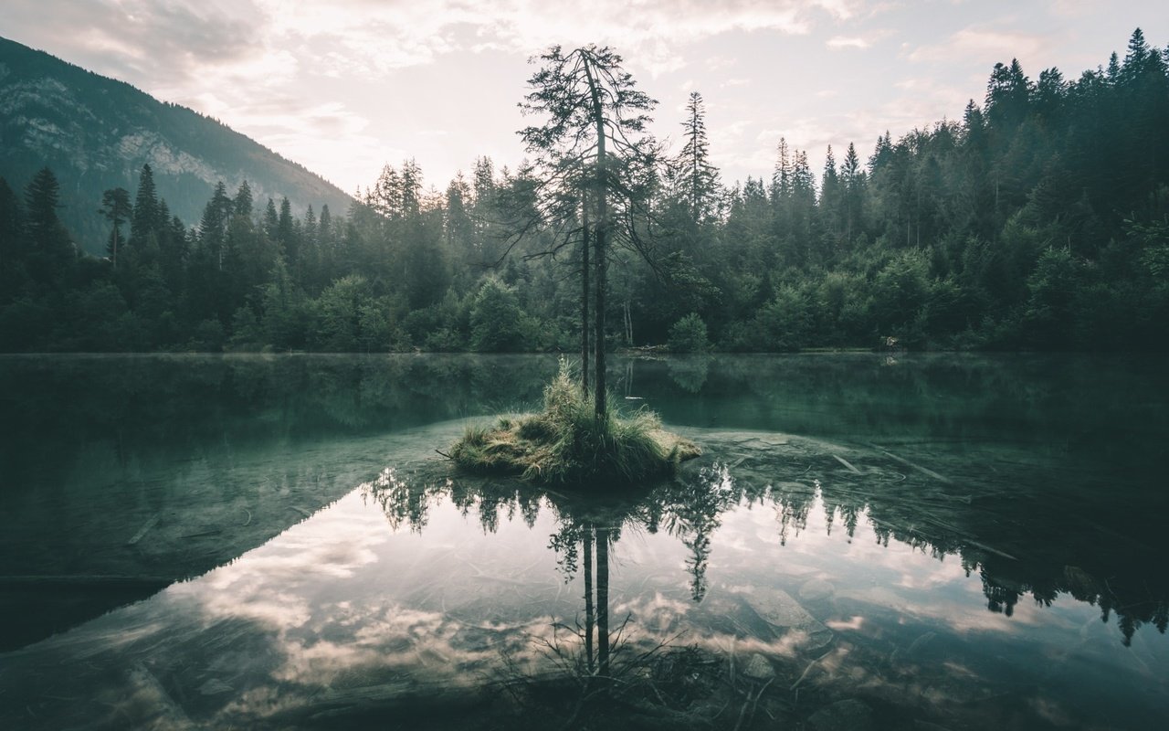 Обои небо, озеро, дерево, лес, отражение, ветки, the sky, lake, tree, forest, reflection, branches разрешение 2048x1365 Загрузить