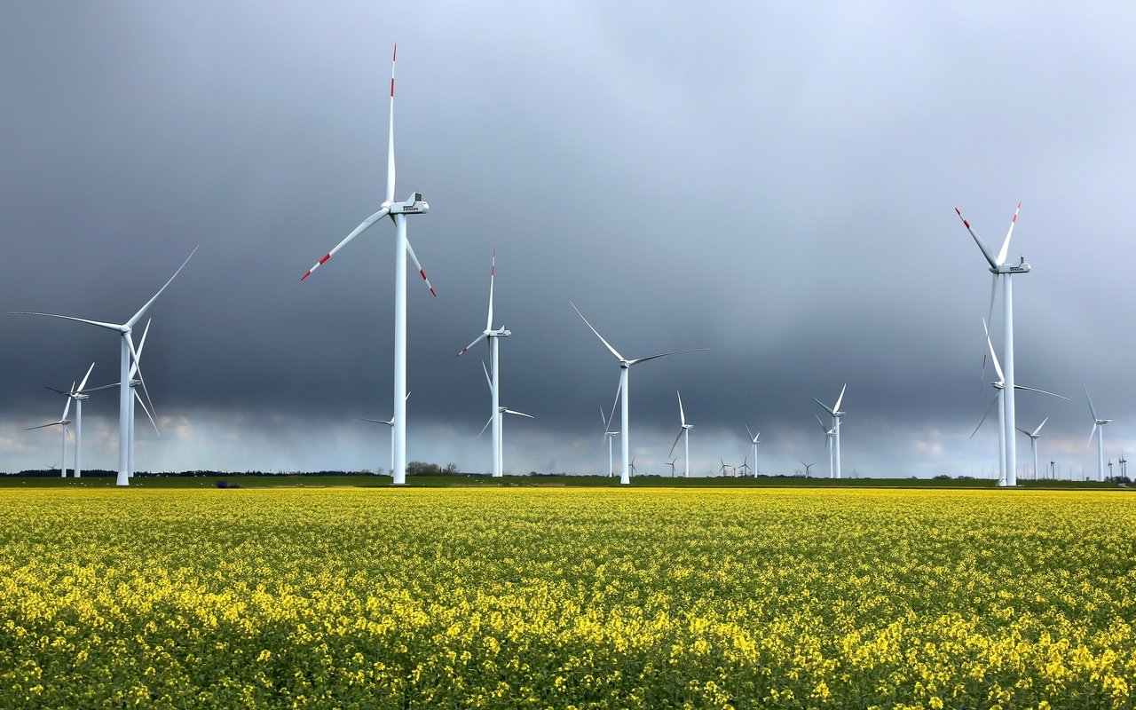 Обои небо, цветы, поле, ветряки, рапс, ветротурбины, the sky, flowers, field, windmills, rape, wind turbine разрешение 2048x1354 Загрузить