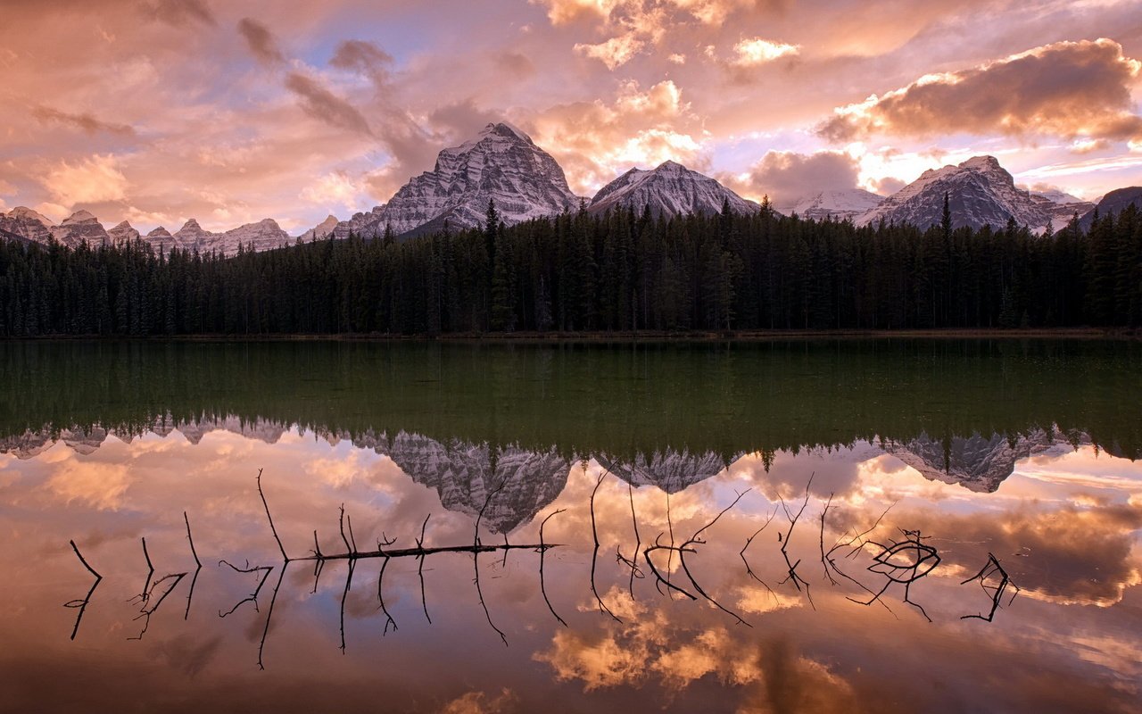 Обои облака, озеро, горы, лес, отражение, коряга, clouds, lake, mountains, forest, reflection, snag разрешение 1920x1200 Загрузить