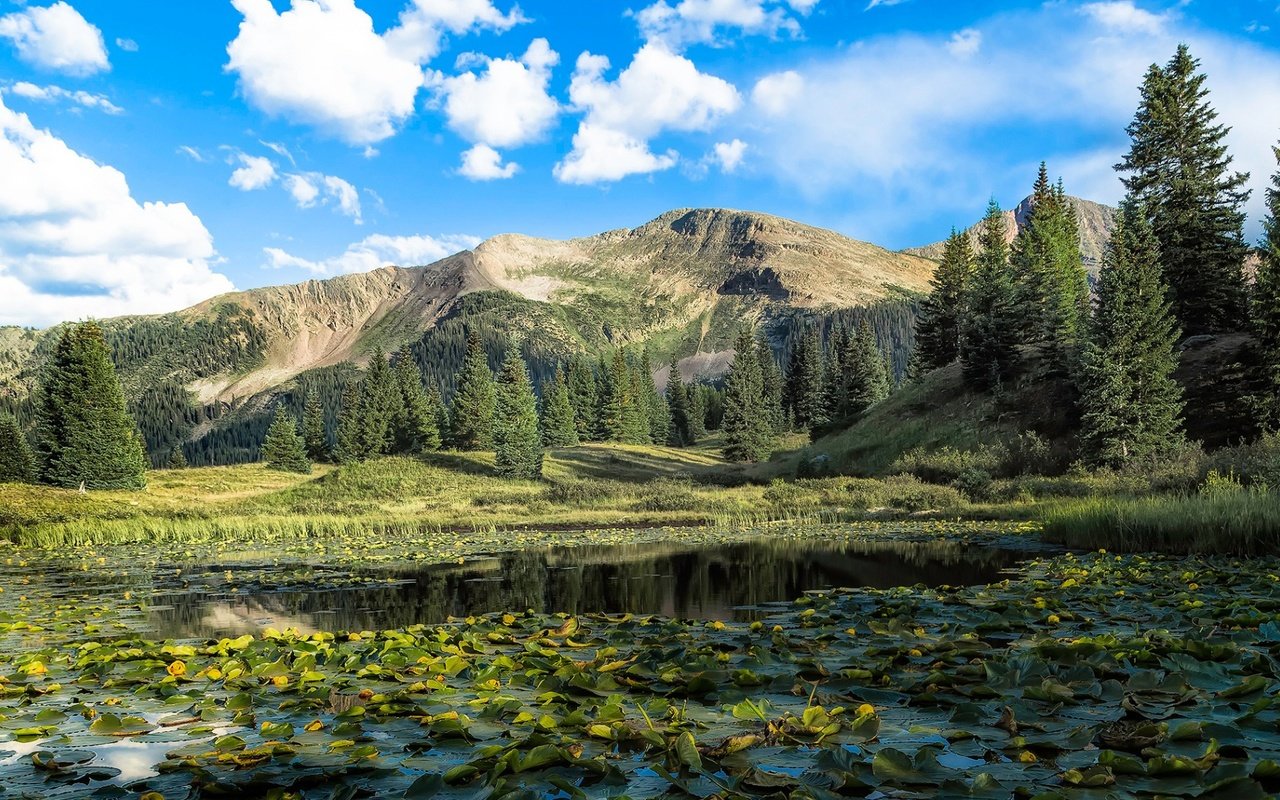 Обои небо, облака, деревья, озеро, горы, пейзаж, кувшинки, the sky, clouds, trees, lake, mountains, landscape, water lilies разрешение 1926x1080 Загрузить