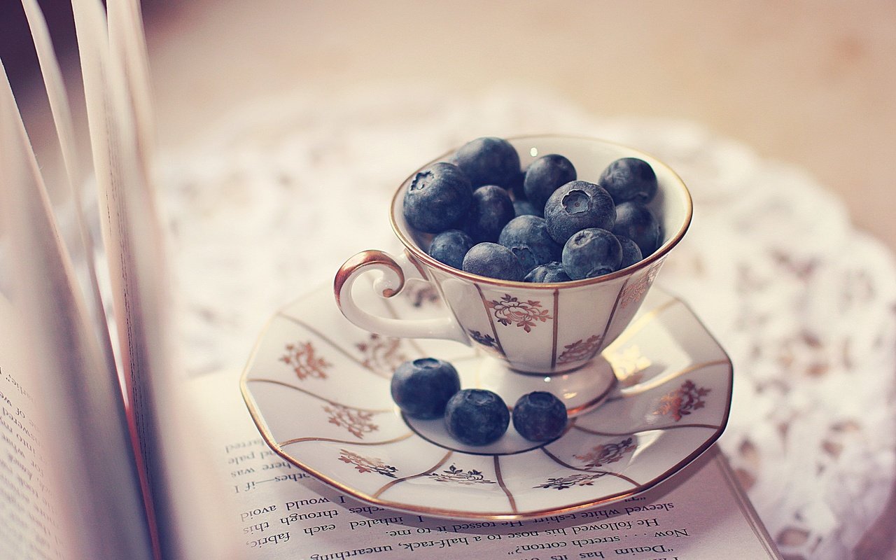 Обои блюдце, ягоды, чашка, черника, салфетка, книга, страницы, saucer, berries, cup, blueberries, napkin, book, page разрешение 2560x1600 Загрузить