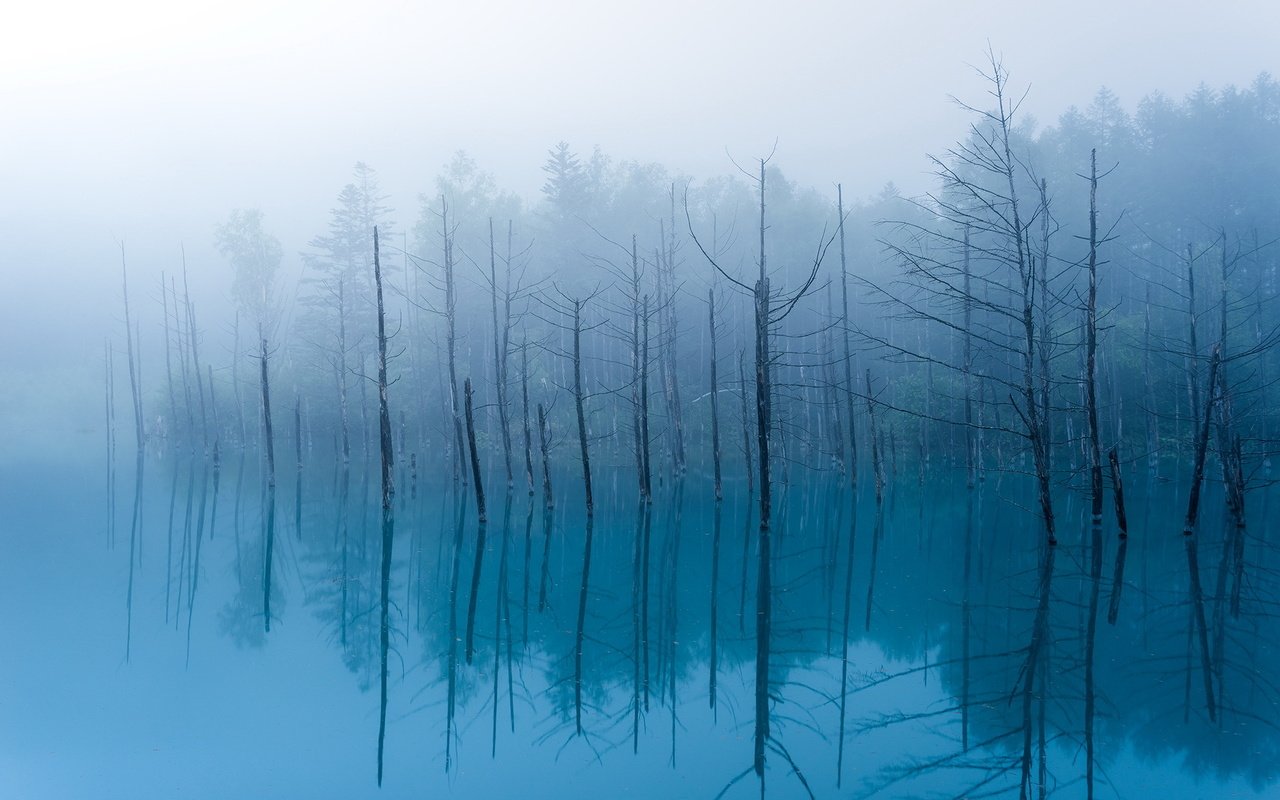 Обои деревья, озеро, отражение, туман, тишина, trees, lake, reflection, fog, silence разрешение 1999x1241 Загрузить