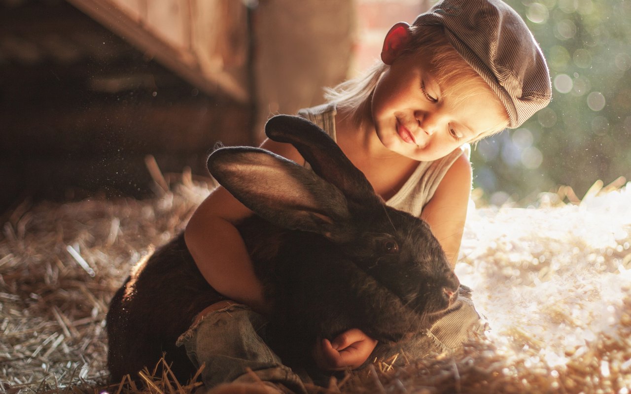 Обои ребенок, кролик, мальчик, животное, солома, друзья, кепка, боке, child, rabbit, boy, animal, straw, friends, cap, bokeh разрешение 3463x3316 Загрузить